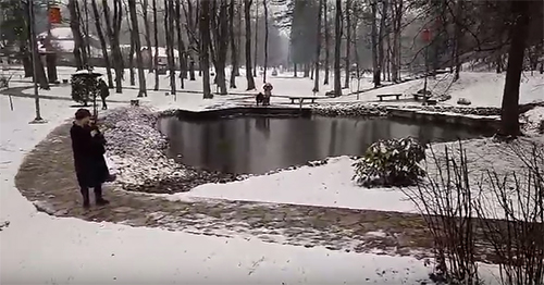 Jezero pod snegom - Japanski vrt